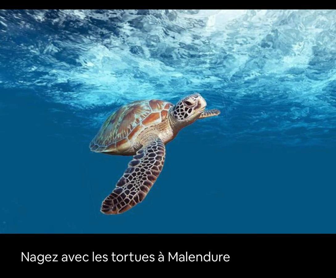 Gite Ti Papiyon Bouillante Exterior foto